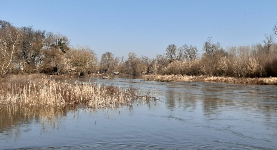Komplexní hospodaření s řekou Dyjí a záplavovými oblastmi s cílem adaptace na změnu klimatu