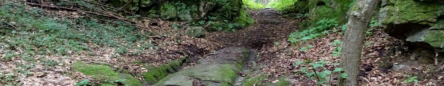 Roman Trails - On the Trail of the Romans in the Weinviertel Region and in South Moravia
