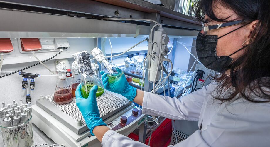Využití udržitelné biotechnologie v zemědělském a potravinářském sektoru