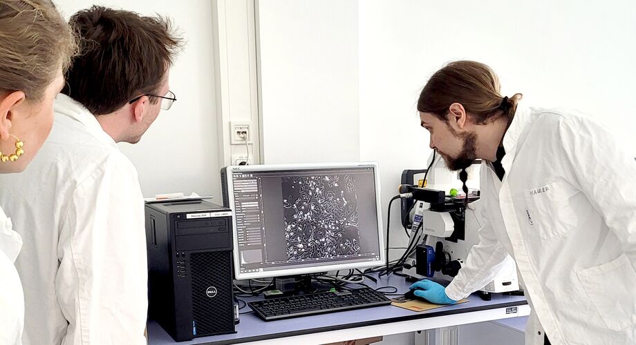 Nanobiopartikel für die Präzisionsmedizin